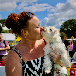 Country Dog Show